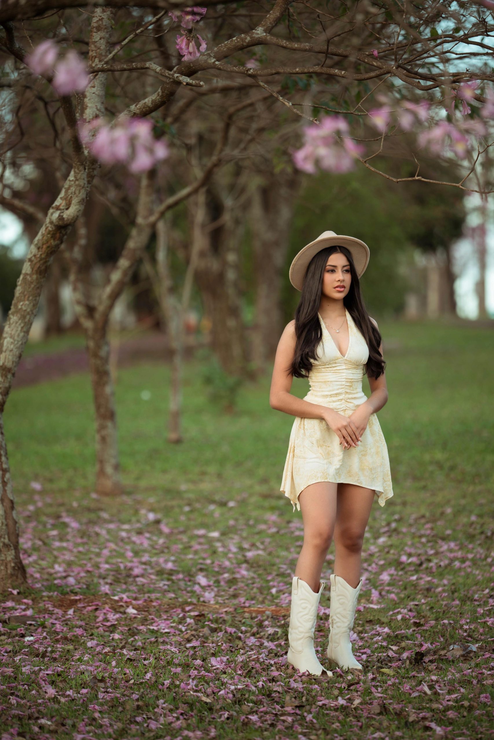 6856b1af-9c99-4eb4-97ef-78ff90abb11b