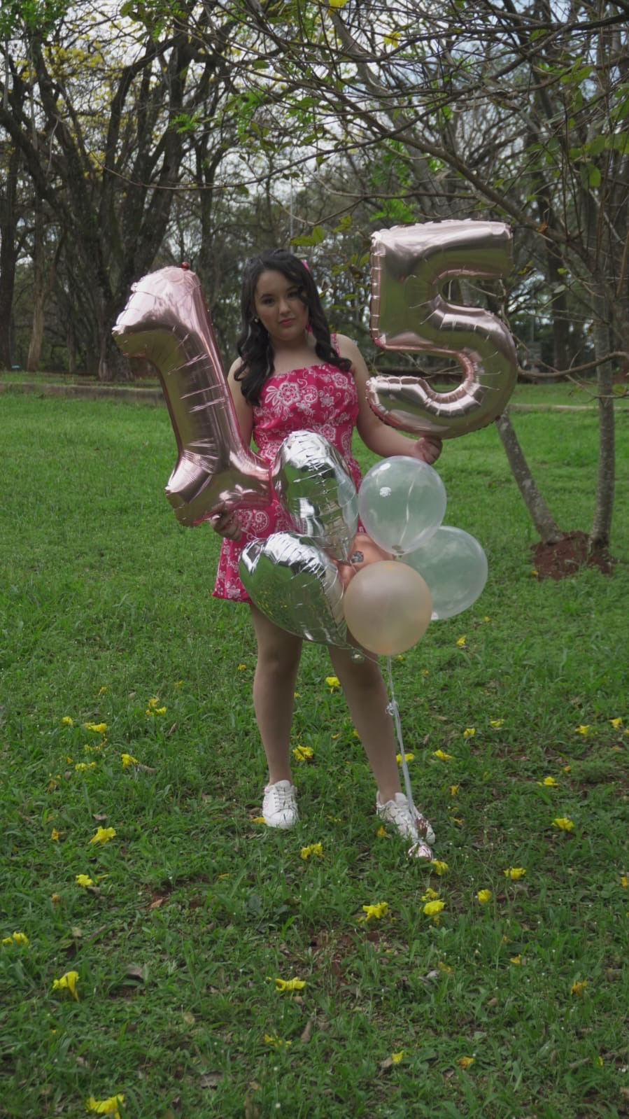 73e2719e-f961-49ec-93bf-2a14e07b274c